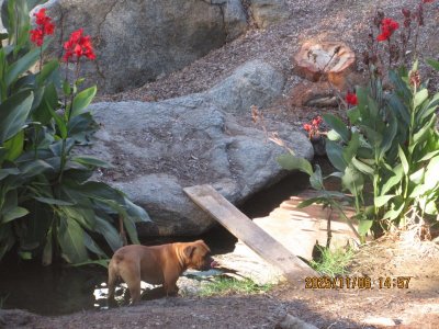 IMG_3202.JPG IMG_3202.JPG