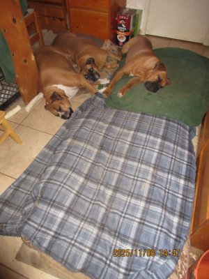 IMG_3197.JPG IMG_3197.JPG