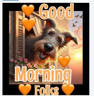 Screen Shot 2025-05-23 at 12.39.31 PM Large.jpeg