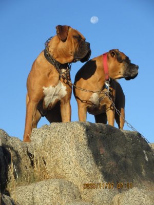 IMG_3231.JPG IMG_3231.JPG