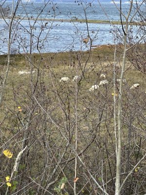 IMG_1313.jpeg IMG_1313.jpeg