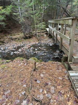 IMG_1224.jpeg IMG_1224.jpeg