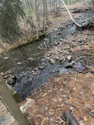 IMG_1225.jpeg IMG_1225.jpeg