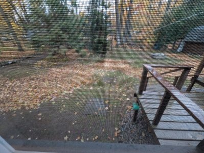 1000026798.jpg 1000026798.jpg