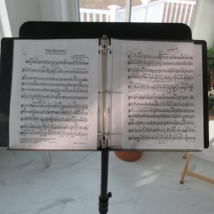 RedPonyCoplandMusic2025.jpeg RedPonyCoplandMusic2025.jpeg