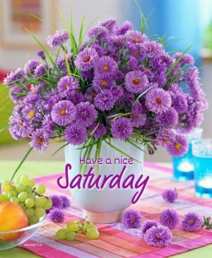 IMG_1316.jpeg IMG_1316.jpeg