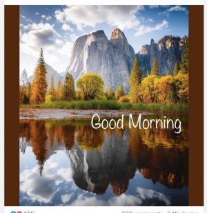 Good Morning th.jpeg