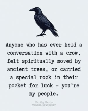 6e23e5dd541185aa15e1226ecc54b61a.jpg 6e23e5dd541185aa15e1226ecc54b61a.jpg