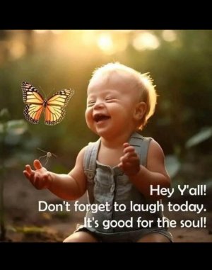 1762689897787.jpeg 1762689897787.jpeg