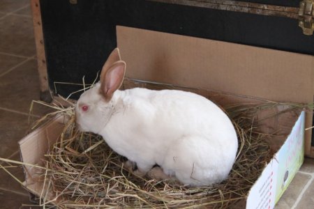 bestie.JPG bestie.JPG