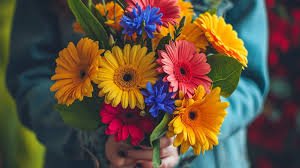 1762712020552.jpeg 1762712020552.jpeg