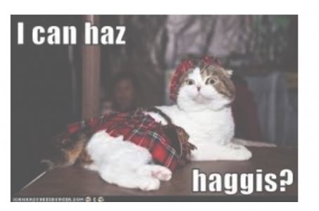 Screen Shot 2025-11-08 at 1.58.06 PM.jpg