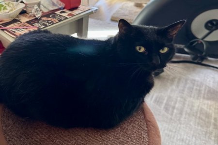 IMG_1860.jpeg IMG_1860.jpeg