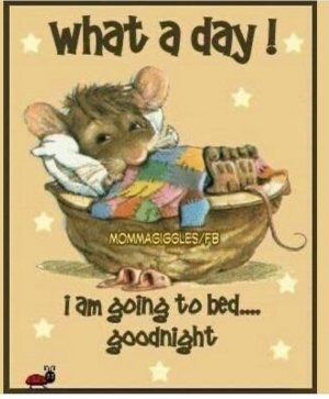 Screen Shot 2025-06-19 at 10.33.20 AM Large.jpeg