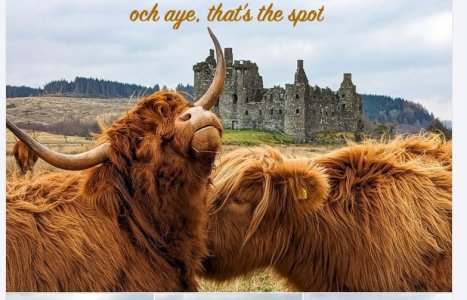 Screen Shot 2025-06-18 at 8.21.34 AM Large.jpeg