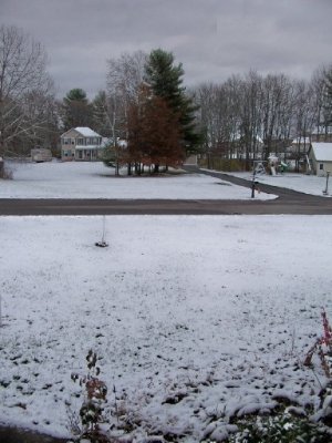 snow Nov 10 2025b.jpg