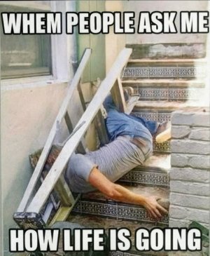 how life is going funny.jpg