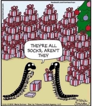 socks.jpg
