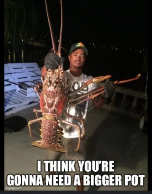 Screenshot 2025-11-12 073202.jpg Screenshot 2025-11-12 073202.jpg