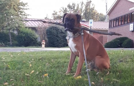 20220914_195019 (1).jpg 20220914_195019 (1).jpg