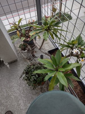 IMG_20251112_131823824_HDR.jpg IMG_20251112_131823824_HDR.jpg