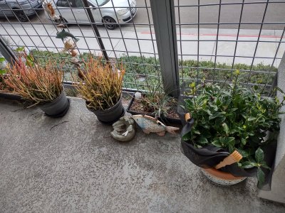 IMG_20251112_131843766_HDR.jpg IMG_20251112_131843766_HDR.jpg