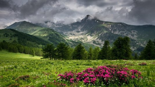 Meadow with mountain.jpg Meadow with mountain.jpg
