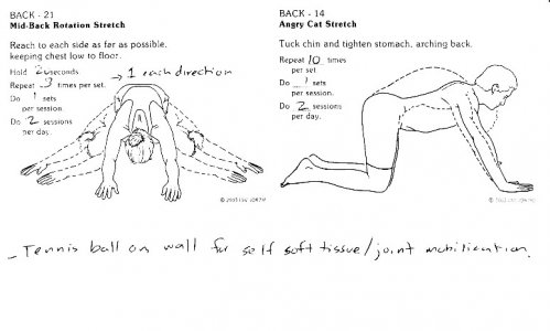 back-stretch.jpg