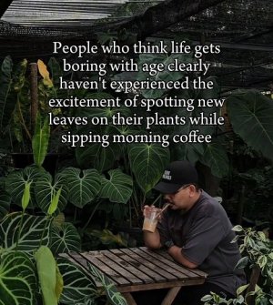 boring.jpg boring.jpg