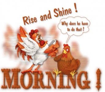 Good Morning rise copy.jpg