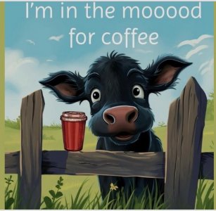 Screen Shot 2025-11-13 at 7.08.18 PM.jpg