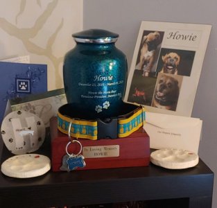 0406201928AAA (1).jpg