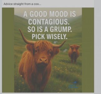 Screen Shot 2025-06-27 at 11.28.57 AM Large.jpeg