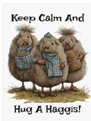 Screen Shot 2025-11-15 at 3.20.47 PM.jpg