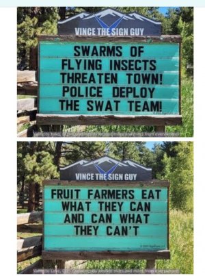 Screen Shot 2025-11-16 at 12.45.11 PM.jpg