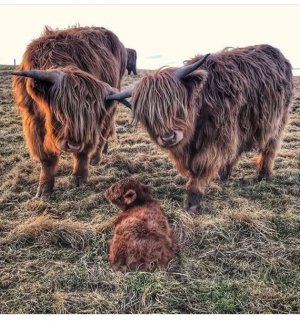 Screen Shot 2025-06-27 at 2.06.22 PM Large.jpeg