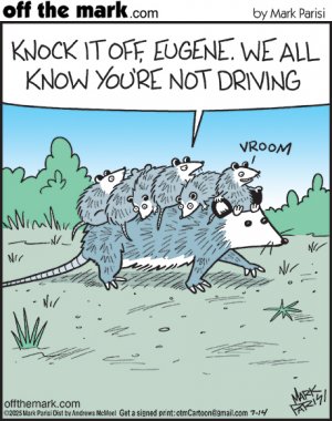 opossum joke.jpg