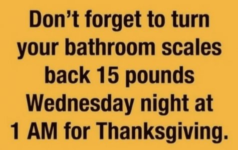 thanksgiving-memes-28-4123673554.jpeg