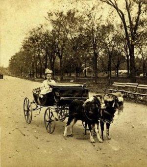 Girl sitting in a goat carriage in Central Park, New York, circa 1870s..jpg