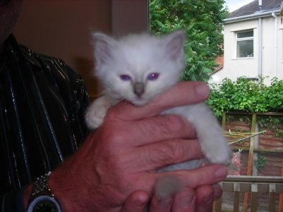 Ruby Mae 23.05.08 002.jpg