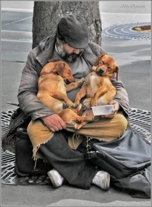 any photos dogs homeless.jpg