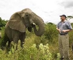 TIL When the Elephant Whisperer Lawrence Anthony died ...