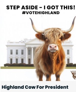 Screen Shot 2025-11-21 at 8.54.36 AM Large.jpeg