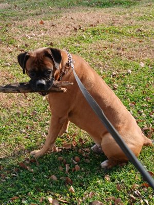 WhatsApp Image 2025-11-21 at 17.35.33.jpeg