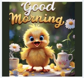 Screen Shot 2024-11-05 at 4.48.56 PM.jpeg