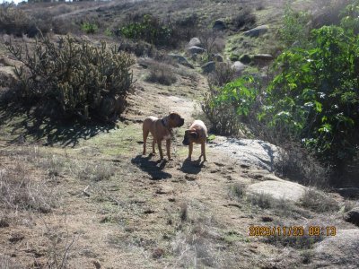 IMG_3664.JPG IMG_3664.JPG