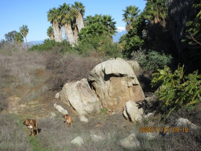 IMG_3667.JPG IMG_3667.JPG