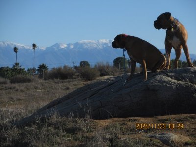 IMG_3644.JPG IMG_3644.JPG