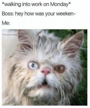 how weekend joke.jpg