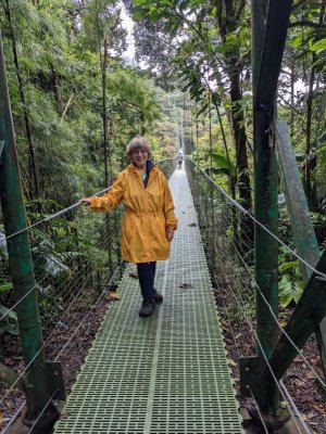 Hanging Bridge.jpg Hanging Bridge.jpg